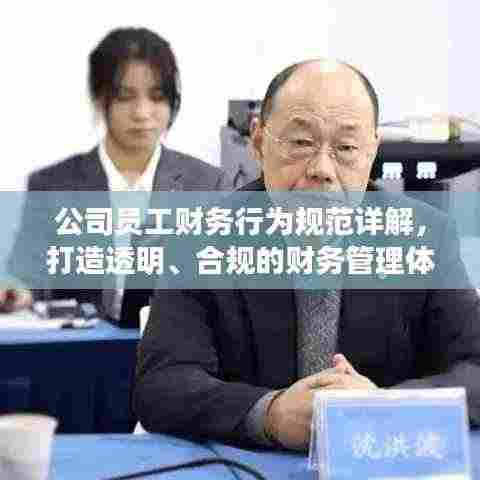 公司员工财务行为规范详解,打造透明、合规的财务管理体系!