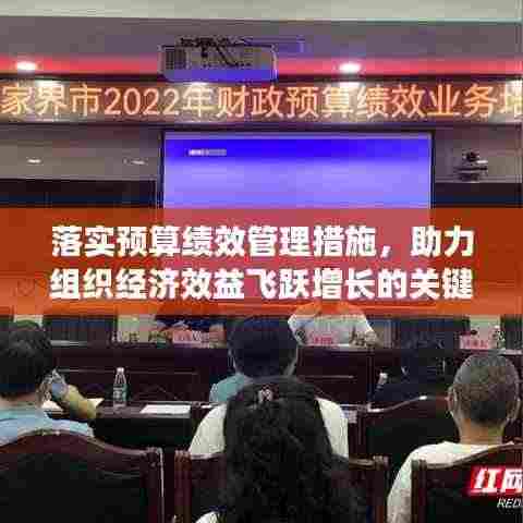 落实预算绩效管理措施，助力组织经济效益飞跃增长的关键路径
