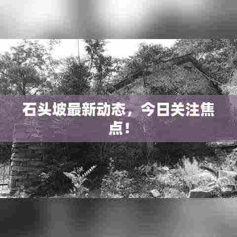 石头坡最新动态，今日关注焦点！