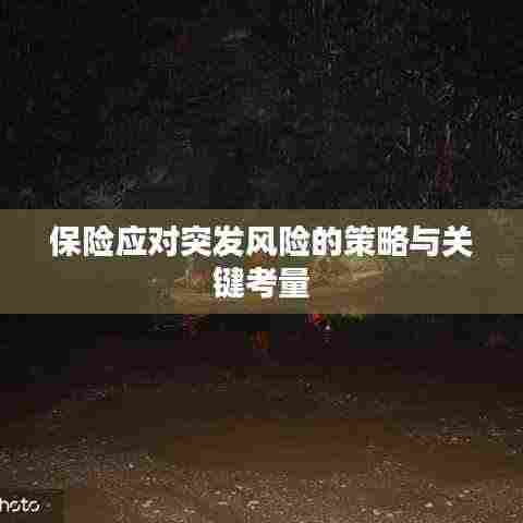 保险应对突发风险的策略与关键考量