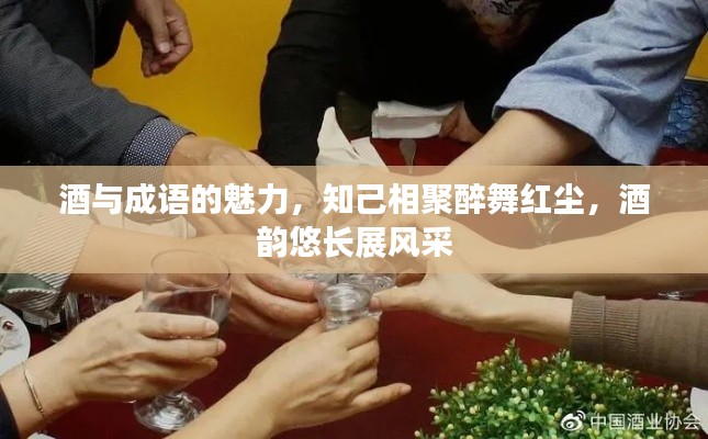 酒与成语的魅力，知己相聚醉舞红尘，酒韵悠长展风采