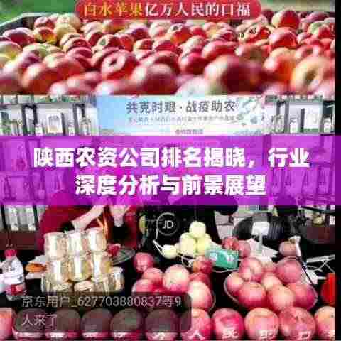 陕西农资公司排名揭晓,行业深度分析与前景展望