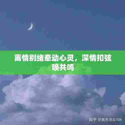 离情别绪牵动心灵,深情扣弦唤共鸣