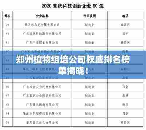 郑州植物组培公司权威排名榜单揭晓!