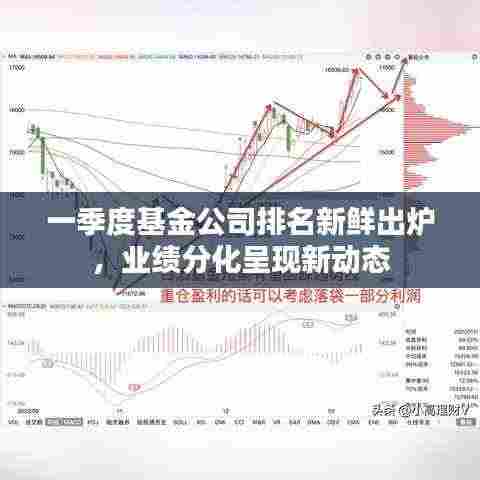 一季度基金公司排名新鲜出炉,业绩分化呈现新动态