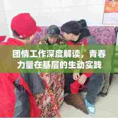 团情工作深度解读,青春力量在基层的生动实践