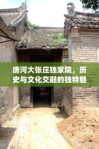 唐河大张庄独家院,历史与文化交融的独特魅力