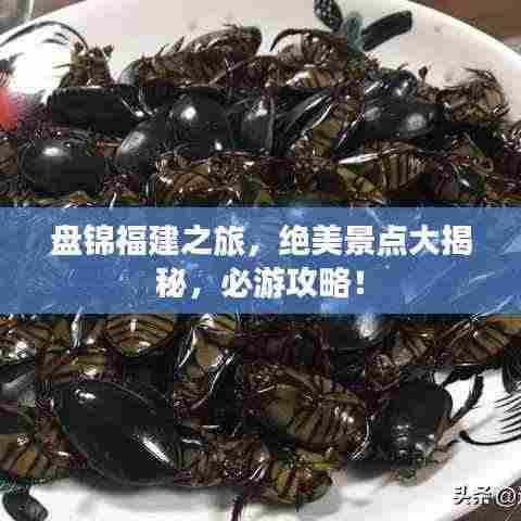 盘锦福建之旅,绝美景点大揭秘,必游攻略!
