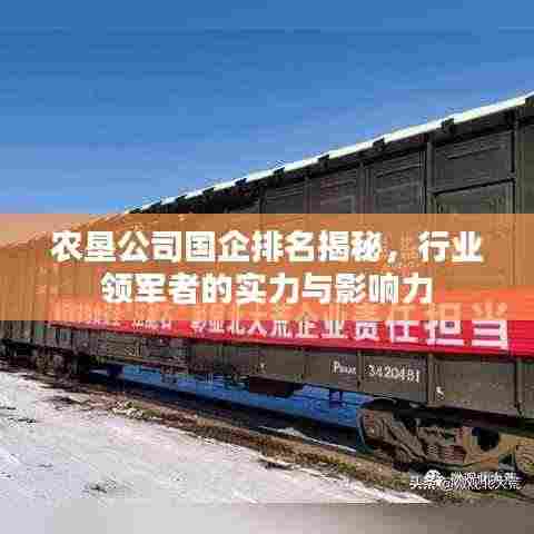 农垦公司国企排名揭秘,行业领军者的实力与影响力