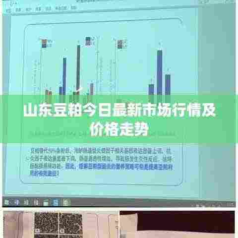 山东豆粕今日最新市场行情及价格走势