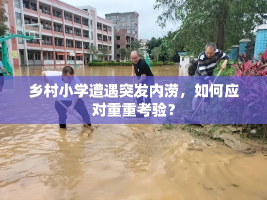 乡村小学遭遇突发内涝,如何应对重重考验?