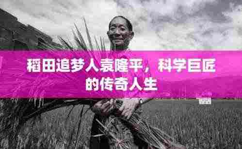 稻田追梦人袁隆平,科学巨匠的传奇人生