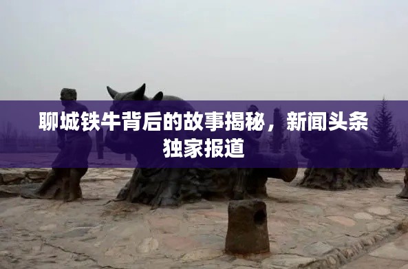 聊城铁牛背后的故事揭秘,新闻头条独家报道
