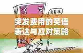 突发费用的英语表达与应对策略