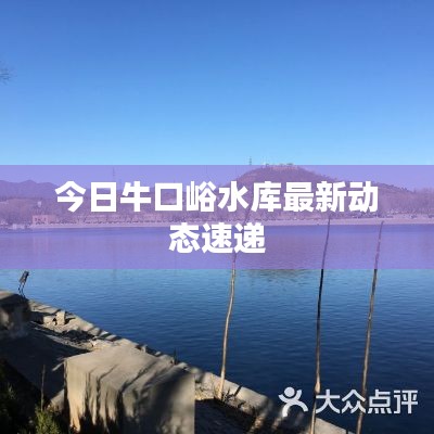 今日牛口峪水库最新动态速递