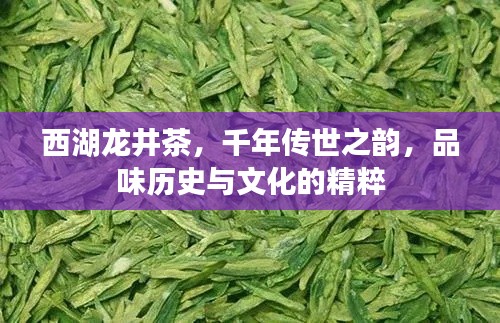 西湖龙井茶,千年传世之韵,品味历史与文化的精粹