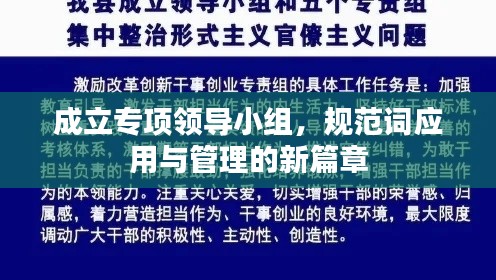 成立专项领导小组,规范词应用与管理的新篇章