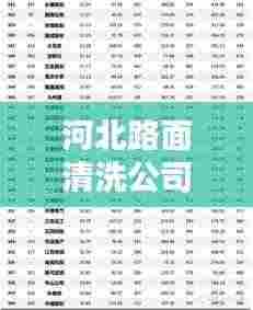 河北路面清洗公司权威排名榜单揭晓!
