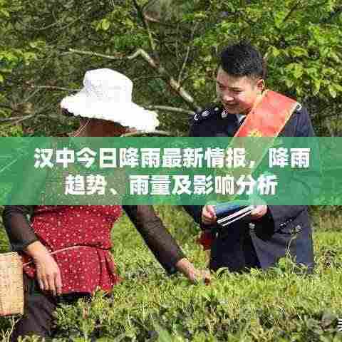 汉中今日降雨最新情报,降雨趋势、雨量及影响分析