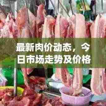 最新肉价动态,今日市场走势及价格查询