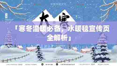 「寒冬温暖必备,水暖毯宣传页全解析」