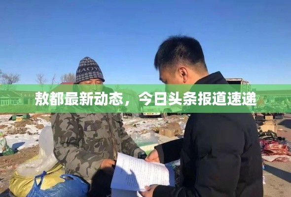 敖都最新动态,今日头条报道速递