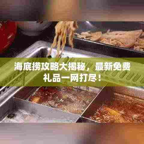 海底捞攻略大揭秘,最新免费礼品一网打尽!