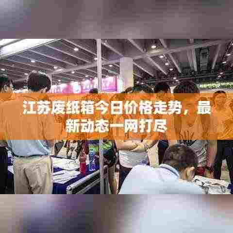 江苏废纸箱今日价格走势，最新动态一网打尽