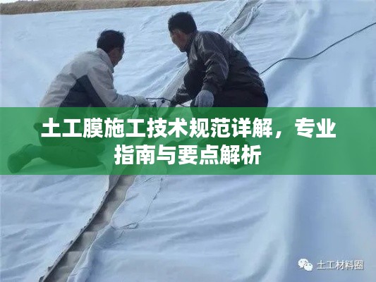 伤弓之鸟 第2页