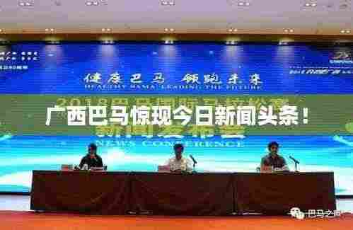 广西巴马惊现今日新闻头条!