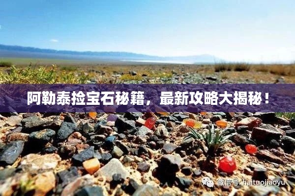 阿勒泰捡宝石秘籍,最新攻略大揭秘!
