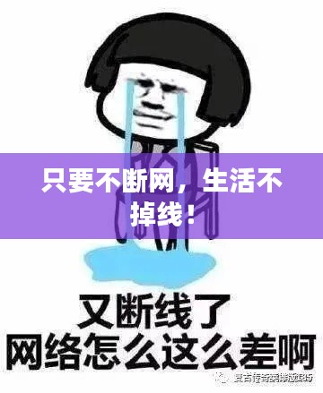 只要不断网，生活不掉线！