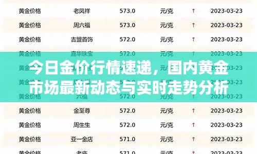 今日金价行情速递，国内黄金市场最新动态与实时走势分析
