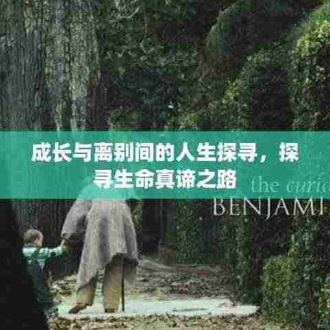 成长与离别间的人生探寻,探寻生命真谛之路