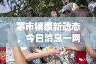 茅市镇最新动态,今日消息一网打尽!