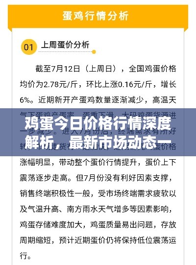 鸡蛋今日价格行情深度解析,最新市场动态一网打尽!