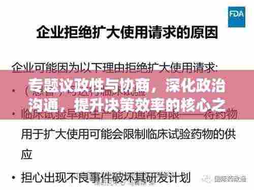 专题议政性与协商，深化政治沟通，提升决策效率的核心之道